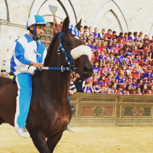 palio-siena