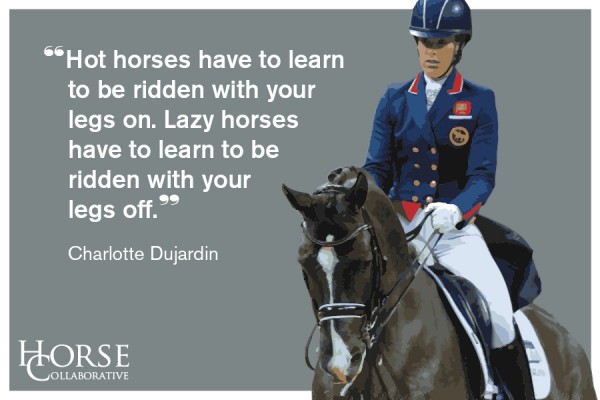 Kuvahaun tulos haulle charlotte dressage quote