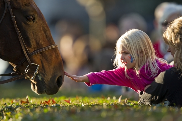 (Keeneland)