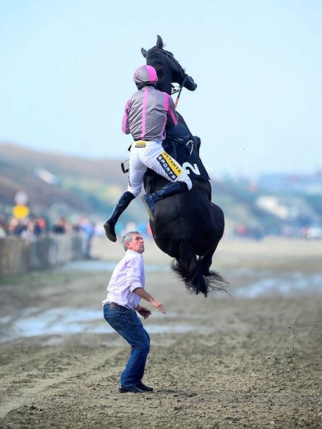 Jockey Johnny King hangs on as his mount Arbritrageur went airborne before a race at Ireland's Laytown Racecourse. Both would be ok. (Photo: Healy Racing, via @IndoSport).