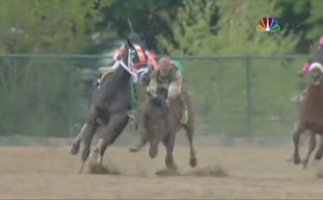 jockey-jeremy-rose-afleet-alex-preakness