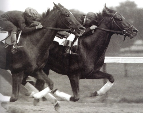Exterminator (inside) works with stablemate Sun Briar at Saratoga, 1919. 