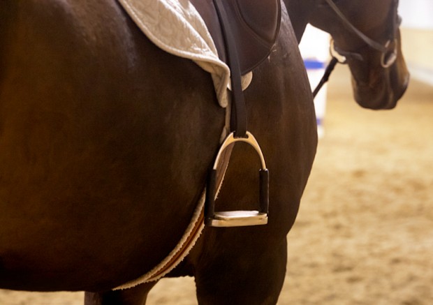 bay-horse-stirrup-saddle