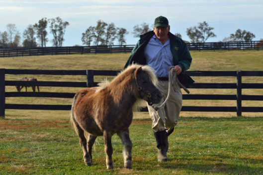 Blowen takes a jog with Old Friends family pet Little Silver Charm. (Photo via Old Friends)