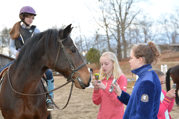 Bramblewood-stables