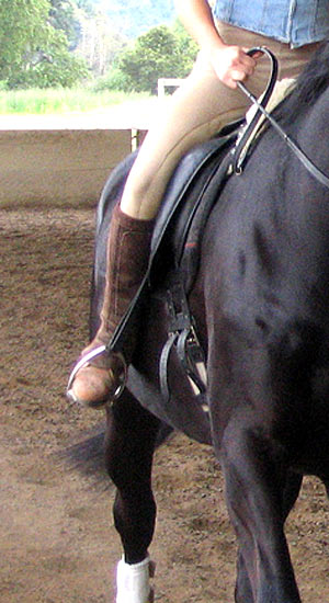 horse-training-leg-aids