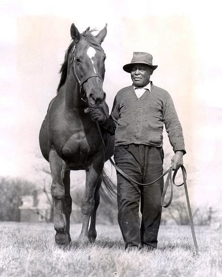 Man O War Horse