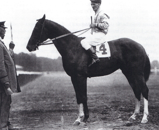 "The Giant Killer." Upset, with jockey Johnny Loftus, following the 1919 Sanford Stakes.