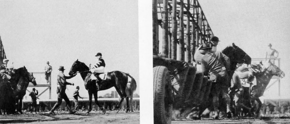 war-admiral-belmont